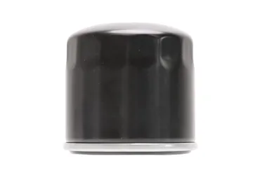 Filtr oleju do silników Zongshen GB680 XP680 GB1000 (OEM 100004087-0001)