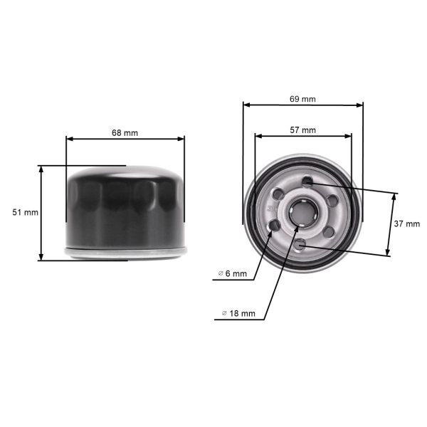 Filtr oleju do silników Zongshen XP380 XP420 XP620 MTD Thorx OHV Loncin (OEM 100004088-0001 751-11501)