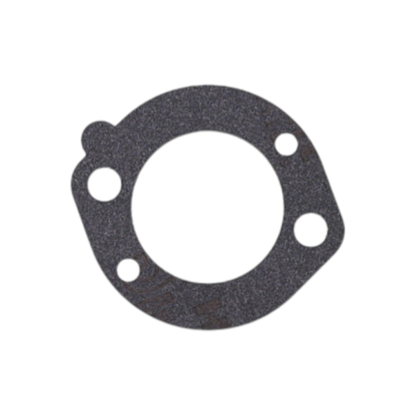 Gaźnik do silników Briggs & Stratton (OEM 591925 698479 698475 693518)