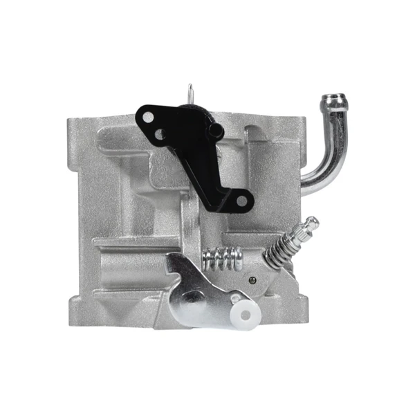 Gaźnik do silników Briggs & Stratton (OEM 796587 591736 594601)