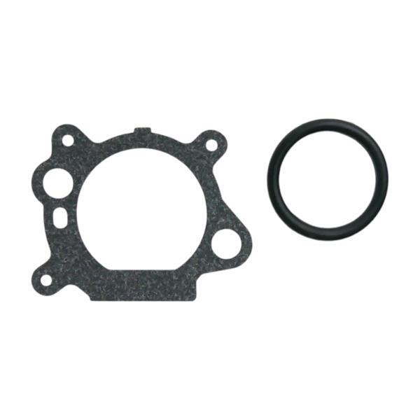 Gaźnik do silników Briggs & Stratton (OEM 799868 14111 497586 498170 498254 497314 497347 694202 693909 692648 799872 790821 498255)