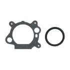Gaźnik do silników Briggs & Stratton Quantum moc 4.0 PS - 7.0 PS część oryginalna (OEM 799868 498254 497347 498170)