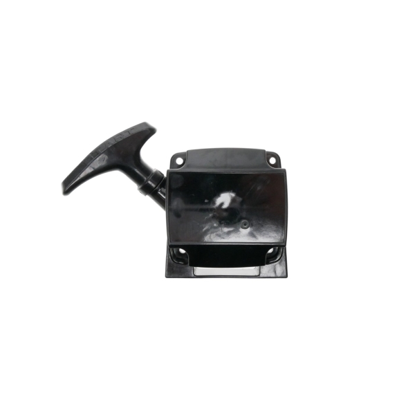 Kompletny rozrusznik do kos do zarośli Kawasaki chińskich wykaszarek i kos do zarośli na rynku hobbystycznym (OEM 49088-2559)