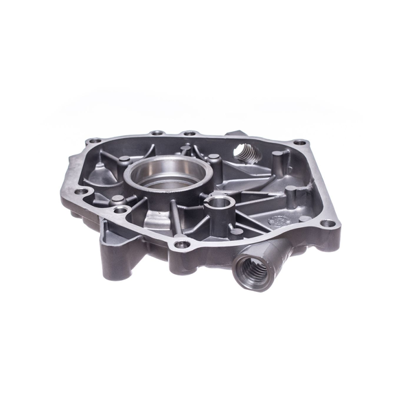 Pokrywa skrzyni korbowej do silników Honda GX160 GX200 Zongshen 168FB (OEM 11300ZE1640 11300ZE1641 11300ZE1613)