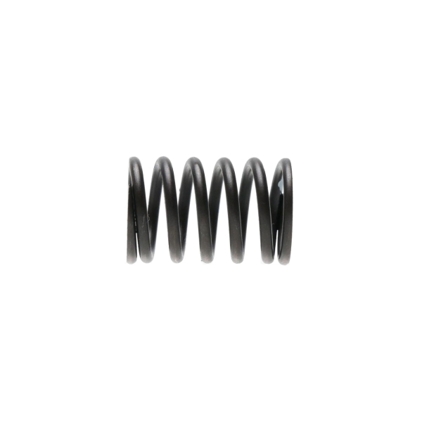 Sprężyna zaworu do silników Zongshen XP420 (OEM 100004569)