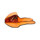 Uniwersalna torba transportowa do pił łańcuchowych o długości prowadnicy 40 - 50 cm