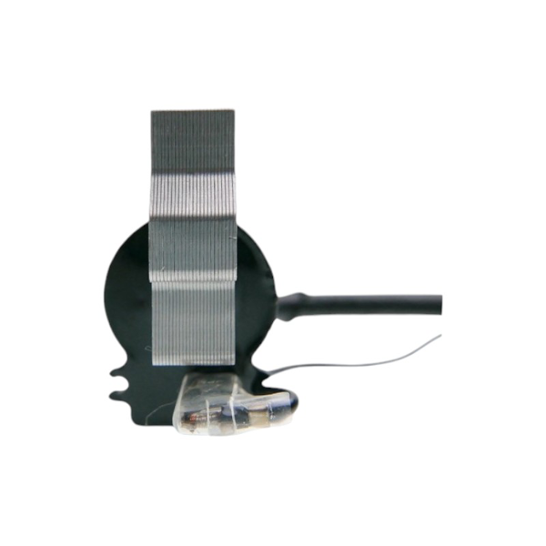 Zapłon do chińskich kosiarek silnikowych NGP NAC Victus Loncin i kosiarek z marketów hobbystycznych