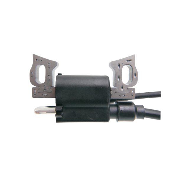 Zapłon do silników Zongshen 168F 168FB 170F moc 6,5 PS 100009241 (OEM 100009241)