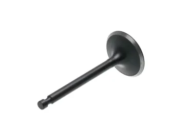 Zawór dolotowy do silników Zongshen XP420 (OEM 100004534)