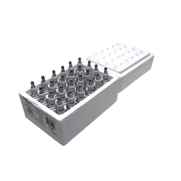 Zestaw 24 świec zapłonowych Champion RJ19LM do kosiarek (Champion J19LM Bosch W9E0 NGK B2LM Briggs & Stratton 006098E 6098E 992042 Tecumsech?? 2901.0024 29010024)