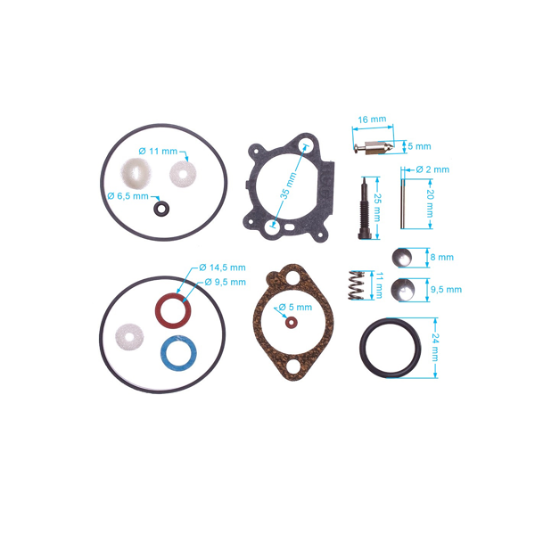 Zestaw naprawczy gaźnika do silników Briggs & Stratton (OEM 498261 398183 490937 492495 493762 498260)