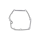 Zestaw uszczelek do silników Briggs & Stratton Quantum 5,0 PS (OEM 493263)