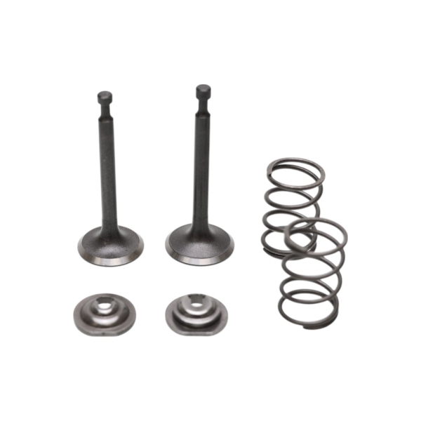 Zestaw zaworów do silników Honda GX160 GXV160 GX200 Zongshen 168F 170F